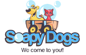 Soapy Dogs